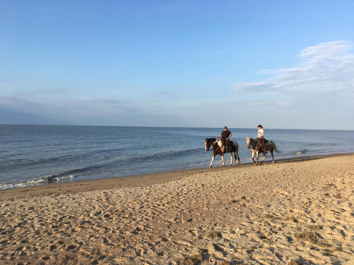 Family Stay 200M From Beach 3 Bedrooms 2 Bathrooms Nice Terrace オステンド エクステリア 写真